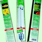 Osram Plantastar 250W