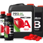 Pro-XL Bloom A+B 5L