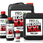 Pro-XL Bloom XXL 1L