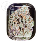 V-Syndicate Bubba Kush "S" Vassoio per rollare (140 x 180 mm)